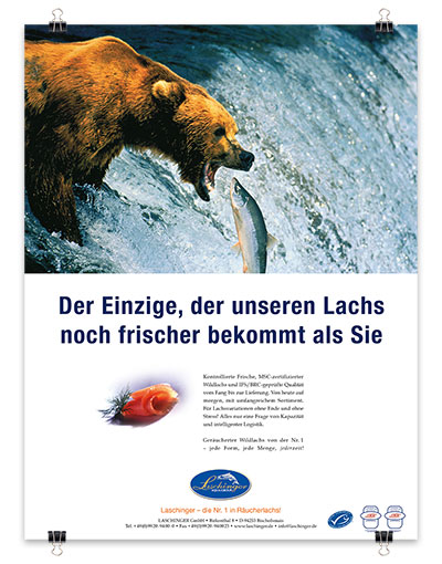 Laschinger Anzeige: Der Einzige, der unseren Lachs noch frischer bekommt als Sie