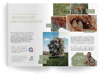 Schlagmann-Kampagne ”Klimaneutrale Ziegel: Broschüre